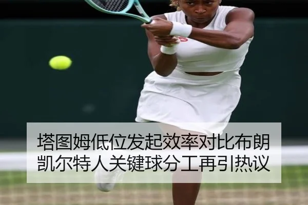 塔图姆低位发起效率对比布朗 凯尔特人关键球分工再引热议