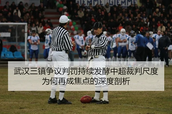 img_1783216387942_692_1_821.jpg